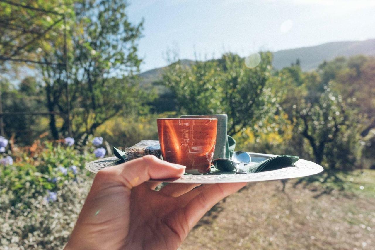 파치아노 Fontanaro Farm And Culinary School 빌라 외부 사진